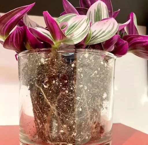 The Blue Way Appartement