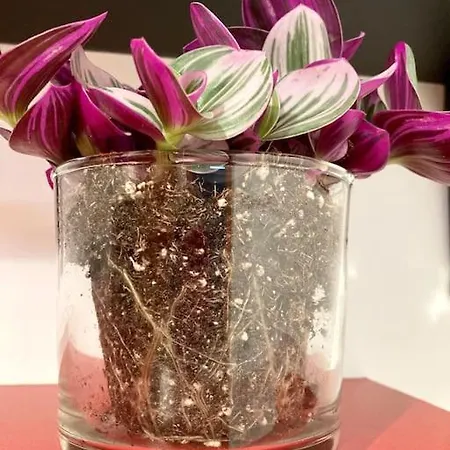 The Blue Way 아파트